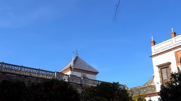 ラ ピラトス (ピラトの家) は、スペインのセビリア メディナセリ公爵、ルネサンス イタリアとムデハル様式のスタイル、アンダルシア宮殿のプロトタイプの永住権のアンダルシア宮殿. — ストック動画