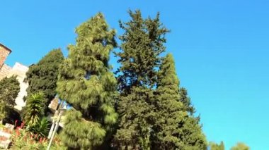 Belediye Binası (Ayuntamiento) Malaga şehir. Malaga özerk topluluk Andalusia, İspanya iline bağlı bölge. Avrupa'nın en büyük şehir, Costa del Sol Akdeniz üzerinde yatıyor.