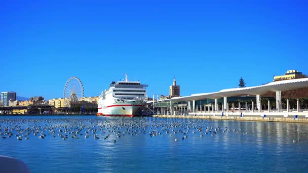 Puerto de Málaga. Málaga es un municipio español de la Comunidad Autónoma de Andalucía. La ciudad más grande del sur de Europa, se encuentra en la Costa del Sol del Mediterráneo . — Vídeo de stock