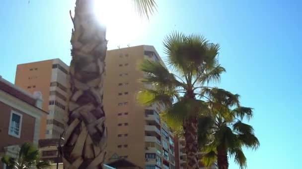 Gevel van gebouw is over de dijk in Malaga. Malaga is een gemeente in de autonome gemeenschap van Andalusië, Spanje. Een grote stad in Europa, het ligt aan de Costa del Sol van Middellandse Zee. — Stockvideo