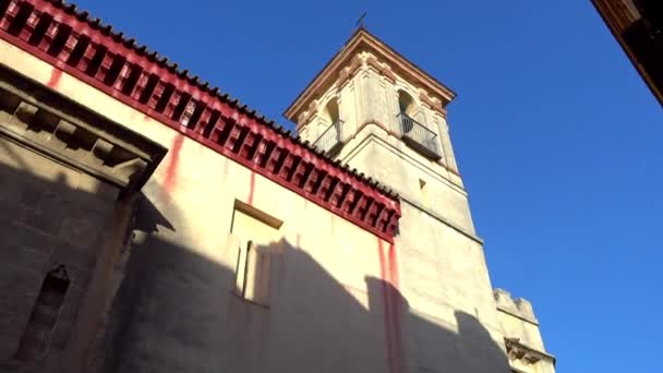 Kelmek de San Esteban Medinaceli utcában, a Sevilla, Andalúzia, Spanyolország. — Stock videók