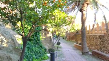 Alcazaba Saray sur Malaga, İspanya olduğunu. Bu erken 11 yüzyılda Hammudid Hanedanı tarafından yaptırılmıştır. Citadel bağlantı noktası bakan tepenin üzerinde inşa ve iki duvarlı muhafazaları oluşur.