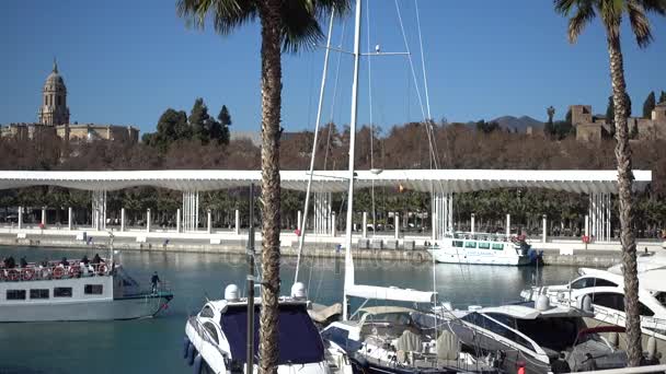 Embankment en Málaga. Málaga es un municipio español de la Comunidad Autónoma de Andalucía. La ciudad más grande del sur de Europa, se encuentra en la Costa del Sol del Mediterráneo . — Vídeos de Stock