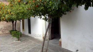 Sevilla, İspanya, daimi ikamet Medinaceli Dukes, Rönesans İtalyan ve Mudéjar stilleri, prototip Endülüs Sarayı'nın Endülüs sarayda La Casa de Pilatos (Pilate ev) olduğunu.