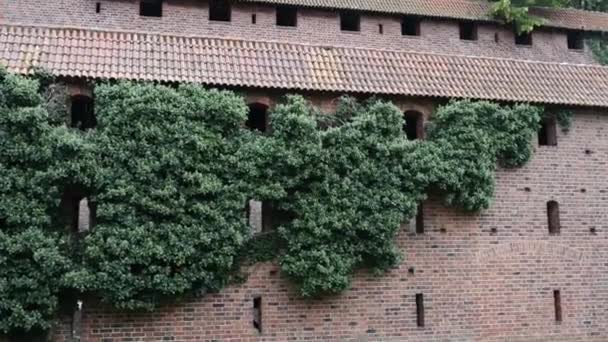 Burg teutonischer Ordnung in Malbork ist flächenmäßig die größte Burg der Welt. es wurde in marienburg, preußen von teutonischen rittern in form einer ordensburg-festung erbaut. — Stockvideo