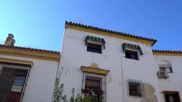 Plaza de Aguayos in Cordoba, Andalusië, Spanje. Plein wordt voorgezeten door een van de verschillende kolommen gebouwd throuhout stad die zijn gewijd aan de aartsengel Raphael, saint beschermheer van Cordova. — Stockvideo