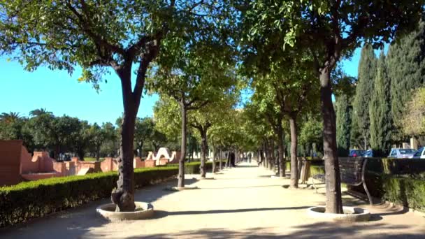 Jardines de Pedro Luis Alonso se encuentran en la ciudad de Málaga, España, el arquitecto Fernando Guerrero-Strachan Rosado, dibujado en 1945. Se encuentra junto al Ayuntamiento, entre los Jardines Puerta Oscura y el Parque de Málaga . — Vídeo de stock