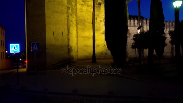 Alcazar de los Reyes Cristianos, também conhecido como Alcazar de Córdoba, Andaluzia, Espanha, ao lado do rio Guadalquivir e perto da Grande Mesquita . — Vídeo de Stock