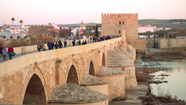 Puente romano de Córdoba es un puente en el centro histórico de la pequeña zona preservada conocida como Sotos de la Albolafia, Córdoba, Andalucía, sur de España, construido a principios del siglo I a través del río Guadalquivir . — Vídeo de stock