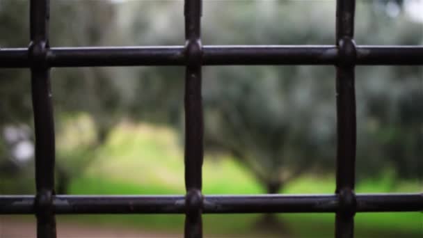 Clôture métallique en fer forgé dans un vieux centre-ville européen .