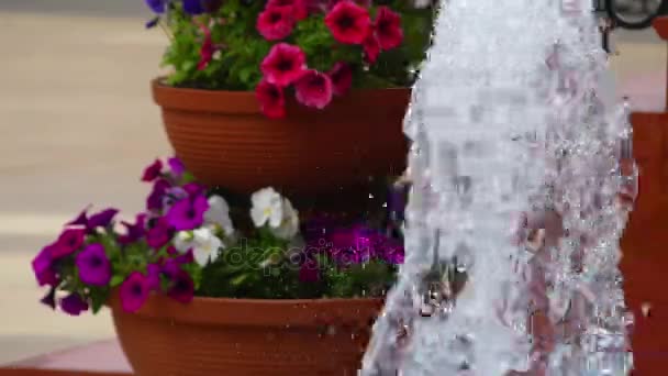 Little beautiful fountain and clay vase with flowers in yard of small courtyard. — Stock Video