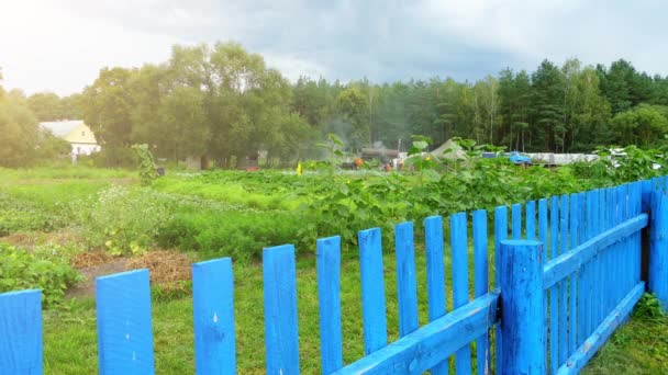 Campement de campagne cuisine sur bois de chauffage en camp touristique d'été . — Video