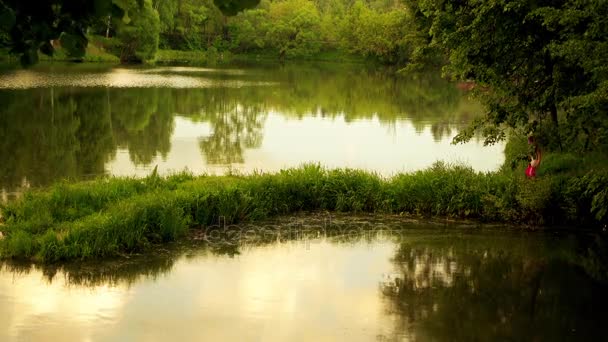 Mooi meisje gaat op groen lake shore en kijken naar zwevende eend met eendjes. — Stockvideo