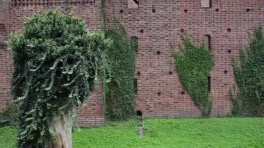 Castle, Germen sırasına göre Malbork yüzey alanı tarafından dünyanın en büyük kalesidir. Bir Ordensburg kale şeklinde Töton Şövalyeleri tarafından Marienburg, Prusya içinde inşa edilmiş.