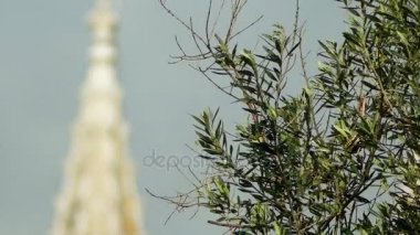Odak transfer: Jeronimos Monastery veya Hieronymites Manastırı, değil bir manastır Aziz Jerome sipariş bulunan Belem, bucak kıyıya yakın yerde bulunan Lizbon Belediyesi, Portekiz.