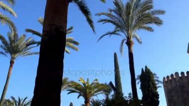 Alcazar de los Reyes Cristianos (Hıristiyan hükümdarlar Kalesi) Cordoba, Endülüs, İspanya. Isabella birincil konutlar biri olarak ben Kastilya ve Aragon Ferdinand II hizmet kale.