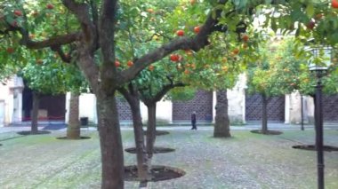 Çeşme su Orange Grove (Patio de los Naranjos) ile kuzey kesiminde, büyük Camii-katedral Cordoba, Endülüs, İspanya Endülüs (Mağribi mimarisi) da bilinen yer alır