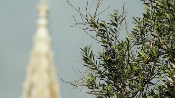 Transfer focus: Jeronimos Monastery or Hieronymites Monastery, is a monastery of the Order of Saint Jerome located near the shore of the parish of Belem, in the Lisbon Municipality, Portugal. — Stock Video