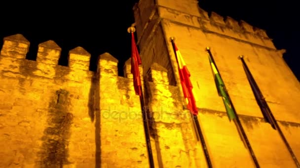 Alcázar de los Reyes Cristianos, también conocido como Alcázar de Córdoba, Andalucía, España, junto al río Guadalquivir y cerca de la Gran Mezquita . — Vídeo de stock