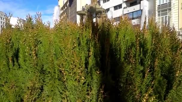 Fuente en la Plaza del Campillo de Granada. Granada es una ciudad en la comunidad autónoma de Andalucía, España, situada a los pies de las montañas de Sierra Nevada, sobre los ríos Beiro, Darro, Genil y Monachil. . — Vídeos de Stock