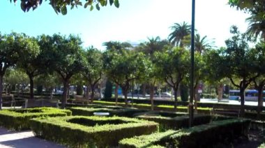 Pedro Luis Alonso bahçeleri şehir Malaga, İspanya, mimar Fernando Guerrero Strachan Rosado, 1945'te çekilmiş bulunmaktadır. Puerta Oscura bahçeleri ve Malaga Park arasında Belediye Binası yanında bulunan.