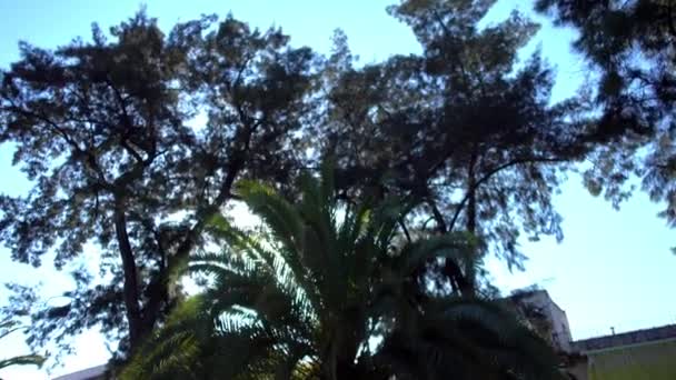 Fontaine sur Santa Maria Magdalena (église Sainte-Marie-Madeleine) est église à Cordoue, Andalousie, Espagne, construit Fernando III dans le style Mudejar. Il fait partie du centre historique de Cordoue, UNESCO .