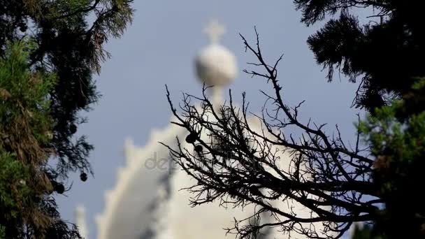 Överföra fokus: klostret Jeronimos eller Hieronymiternas kloster, är ett kloster storleksordningen Saint Jerome ligger nära kusten i Belem, församling i kommunen Lissabon, Portugal. — Stockvideo