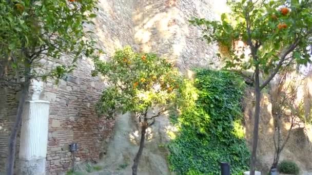 Alcazaba est une fortification palatiale à Malaga, en Espagne. Il a été construit par la dynastie hammudienne au début du 11ème siècle. Citadelle construite sur une colline surplombant le port, et comprend deux enceintes murales . — Video