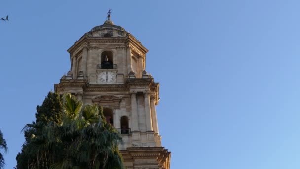 Katedralen i Malaga är romersk-katolska kyrkan i staden Malaga i Andalusien i södra Spanien. Det är i renässansens arkitektoniska traditionen. Det ligger inom gränserna medeltida moriska murar. — Stockvideo