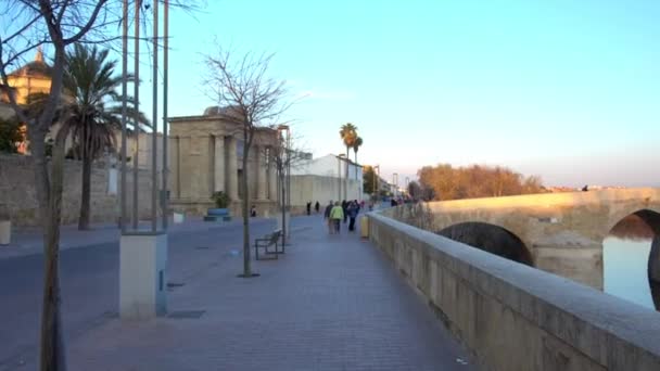 Cordoba Roma köprüsü küçük korunmuş alan Sotos de la Albolafia, Cordoba, Andalusia, Güney İspanya, erken 1. yüzyılda inşa edilmiş Guadalquivir Nehri olarak bilinen tarihi merkezinde köprüdür. — Stok video