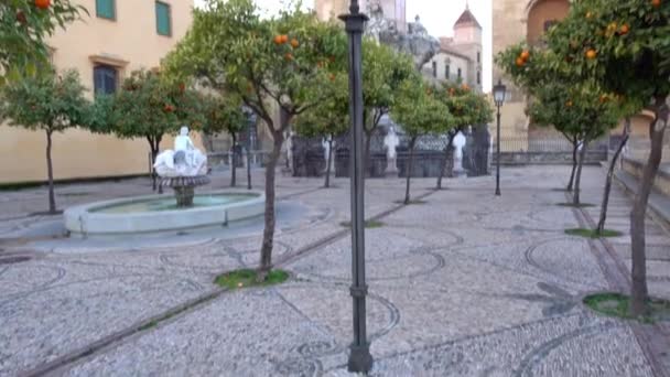 Coluna do Triunfo de San Rafael em Córdoba. Córdoba é uma cidade na Andaluzia, no sul da Espanha, e capital da província de Córdoba . — Vídeo de Stock