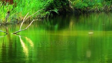 Ropotamo (sınır Nehri) nispeten kısa Güneydoğu Bulgaristan nehirdir. Karadeniz Primorsko arasındaki Dyuni içine boş Strandzha dağlarından kaynağını alır.