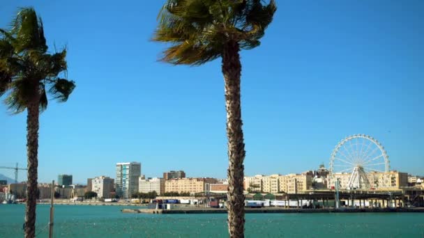Embankment en Málaga. Málaga es un municipio español de la Comunidad Autónoma de Andalucía. La ciudad más grande del sur de Europa, se encuentra en la Costa del Sol del Mediterráneo . — Vídeo de stock