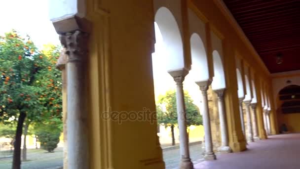 Toren en Belfort van grote moskee-kathedraal van Cordoba, ook bekend van de Mezquita (Moorse architectuur), waarvan de kerkelijke kathedraal van onze lieve vrouw van veronderstelling in Andalusie, Spanje heet — Stockvideo