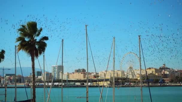 Port de Malaga. Malaga est une commune espagnole de la Communauté autonome d'Andalousie. Grande ville la plus méridionale d'Europe, elle se trouve sur la Costa del Sol de la Méditerranée . — Video