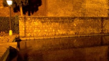 Almodovar kapı Arapça kökenli veya Nogal Gate (Bab al-Chawz) ya da Badajoz kapısı, günümüzde Ortaçağ civar Cordova, İspanya'nın korunmuş olan batı duvarı, ağ geçitlerine birini oluşturan.