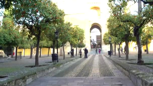Torre e Belfry da Grande Mesquita-Catedral de Córdoba, também conhecida como Mezquita (arquitetura moura), cujo nome eclesiástico é Catedral de Nossa Senhora da Assunção na Andaluzia, Espanha — Vídeo de Stock