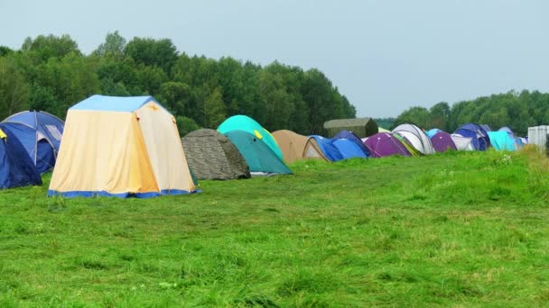 Tourist camp with colorful tents on edge of summer forest. — Stock Video