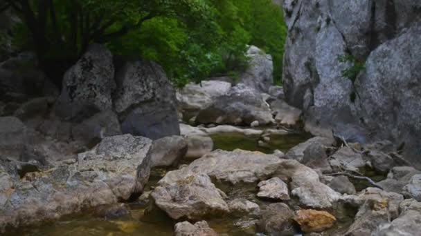 Φαράγγι του ποταμού καρστ Paklenica είναι εθνικό πάρκο στην Κροατία. Bρίσκεται στο Starigrad, Βόρειας Δαλματία, στις νότιες πλαγιές του Velebit βουνού, δεν απέχει πολύ από Ζαντάρ. Μάλα και Βελίκας. — Αρχείο Βίντεο