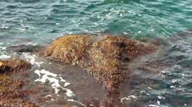 Süzebolu yakınındaki Bulgar Karadeniz sahilinde kayaların üzerinde kırma dalgalar.