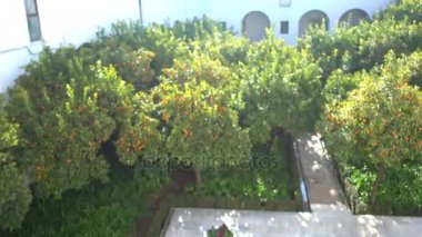 Alcazar de los Reyes Cristianos (Hıristiyan hükümdarlar Kalesi) Cordoba, Endülüs, İspanya. Isabella birincil konutlar biri olarak ben Kastilya ve Aragon Ferdinand II hizmet kale.