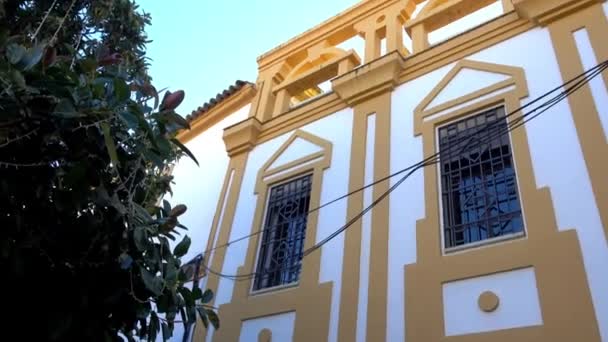 Universität von Cordoba. Philosophische Fakultät und Buchstaben auf der Plaza del Cardenal Salazar in Cordoba, Andalusien, Spanien. — Stockvideo