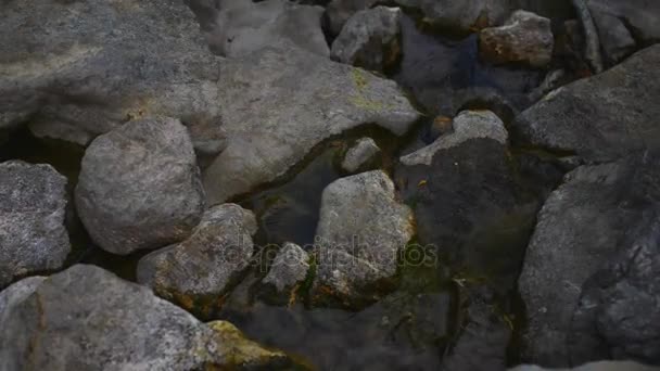 Paklenica krasový říční kaňon je národní park v Chorvatsku. Nachází se v Starigrad, v Severní Dalmácii, v jižní části pohoří Velebit nedaleko Zadaru. Mala a Velka Paklenica. — Stock video