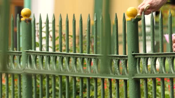 L'uomo dipinge recinzione in metallo con pennello . — Video Stock