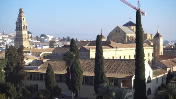 Alcázar de los Reyes Cristianos en Córdoba, Andalucía, España. Fortaleza sirvió como una de las principales residencias de Isabel I de Castilla y Fernando II de Aragón . — Vídeo de stock