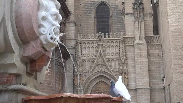 Fonte na praça da Santa Padroeira dos reis (Plaza Virgen de los Reyes), também chamada Praça Real. Sevilha, Andaluzia, sul de Espanha . — Vídeo de Stock