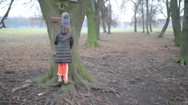 Niña hermosa en chaqueta sube al árbol en un parque de otoño de la ciudad . — Vídeos de Stock