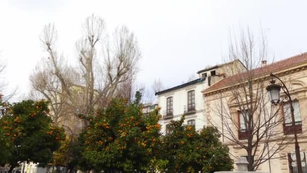 Bibataubin si trova tra la basilica della Vergine di Angustias, Fontana di Batallas e Piazza Mariana Pineda. Edificio dall'aspetto barocco con Consiglio Cuonsultivo dell'Andalusia, Spagna . — Video Stock