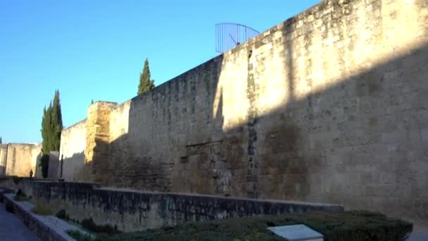 Skulptur gewidmet dem Arzt und andalusischen Philosophen abu al-walid muhammad ibn ahmad ibn rushd, bekannt als averroes. es befindet sich in cairuan straße, cordoba, spanien. — Stockvideo