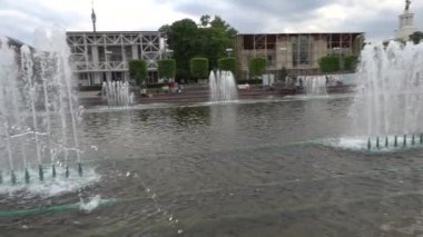 Çeşme taş çiçek ve pavilion 58 tarım VDKNh. sergi başarıları, Ulusal Ekonomi (Ukrayna SSC) ise kalıcı genel amaçlı Fuar ve eğlence parkı, Moskova, Rusya.